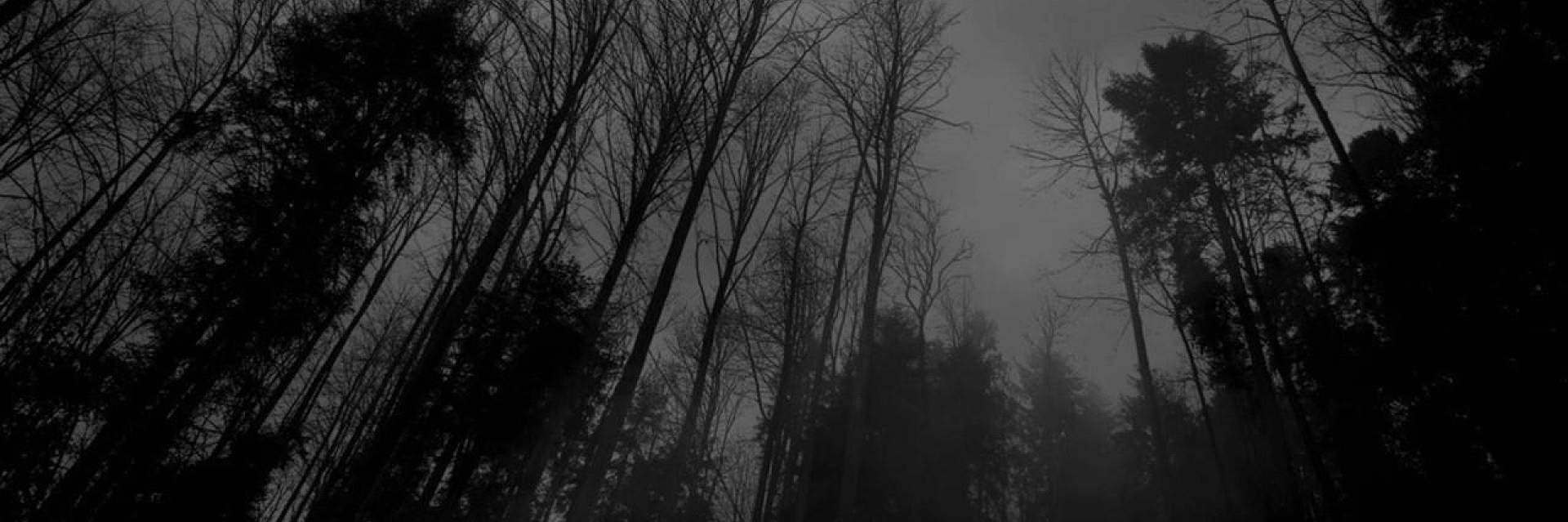 Stasiitis's profile banner image