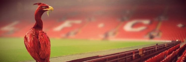 jimrow79's profile banner image