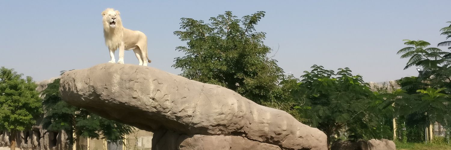 David Snowdon banner