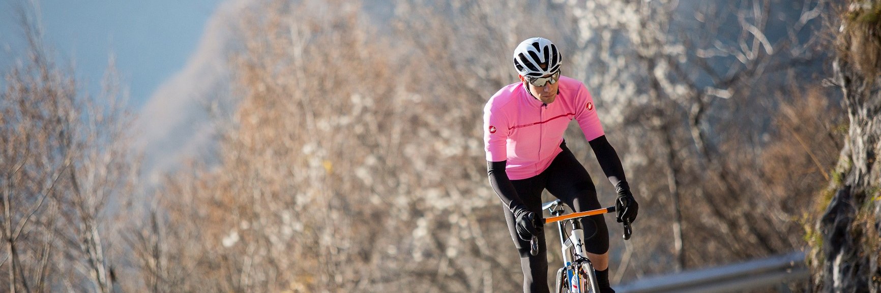 Ciao Scorpione! banner