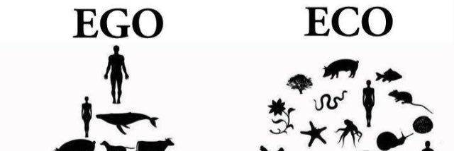 FedericoALopez's profile banner image