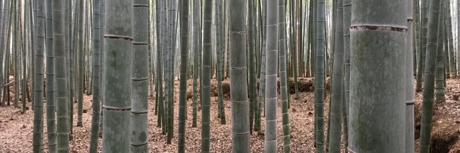 dannyhaak's profile banner image