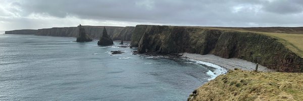 treberney Profile Banner