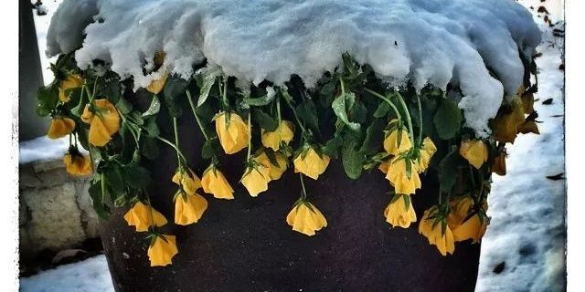 Jill E Bond @🏡 banner