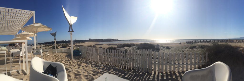 Kristle Rawlinson banner