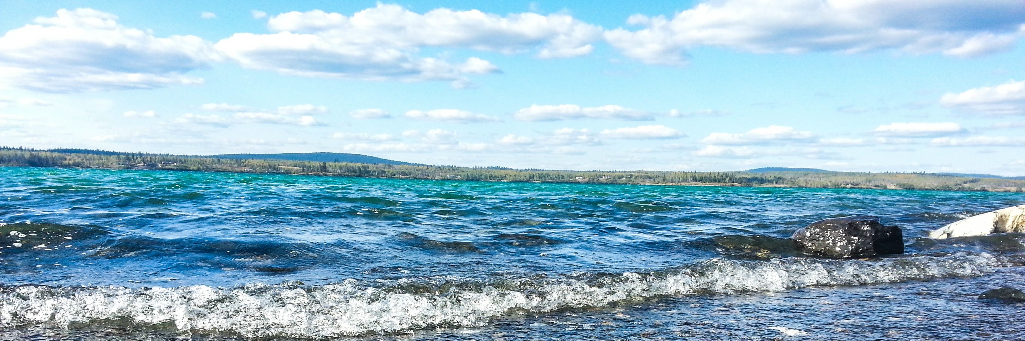 AmandaJLeonard's profile banner image