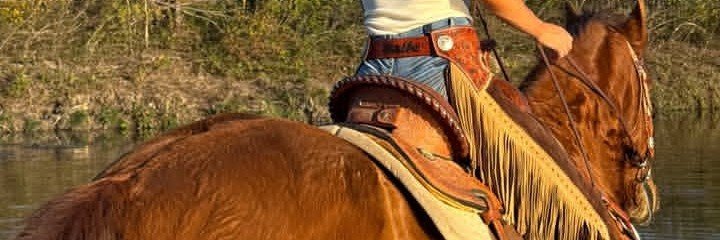 miainsltx's profile banner image