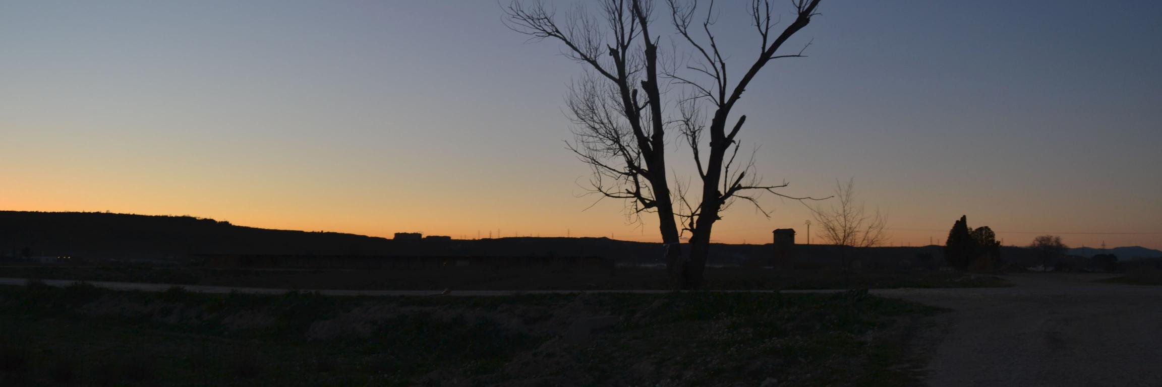 Peybool's profile banner image