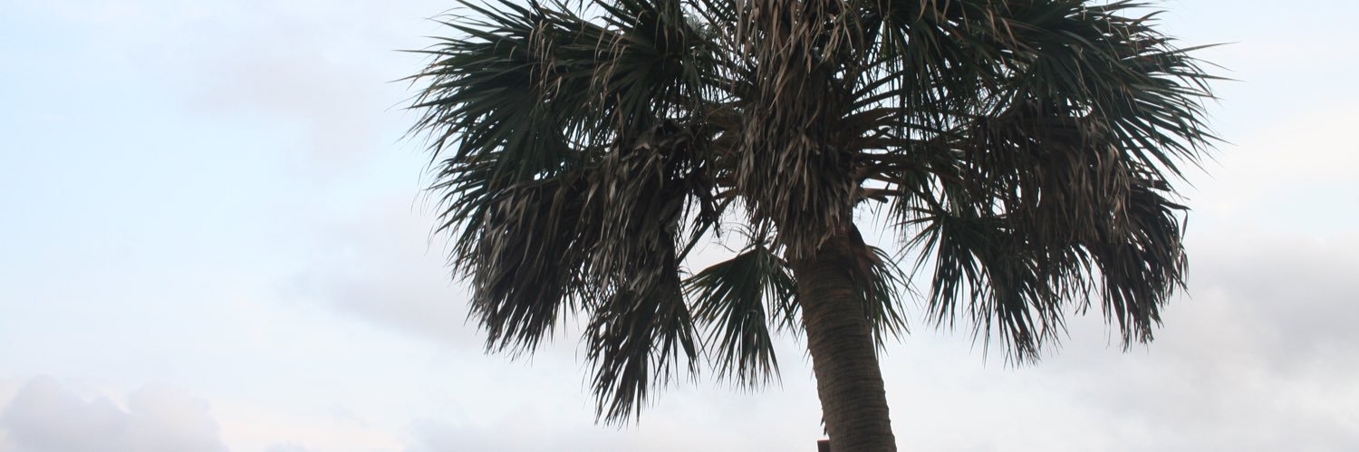 ayeeteecee's profile banner image