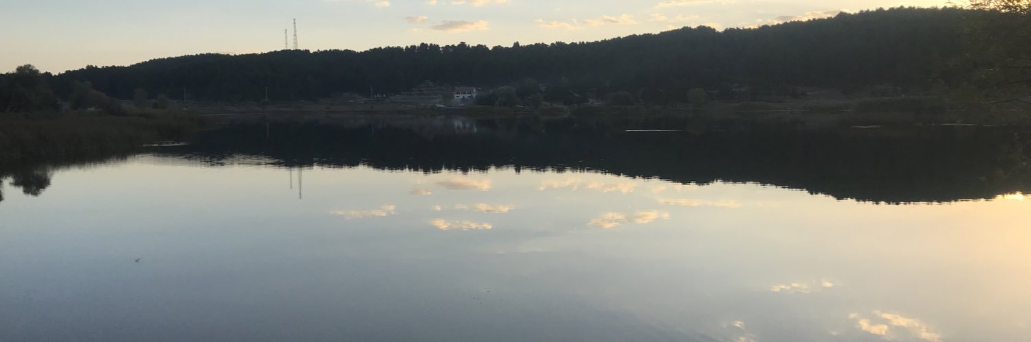 lutfumert's profile banner image
