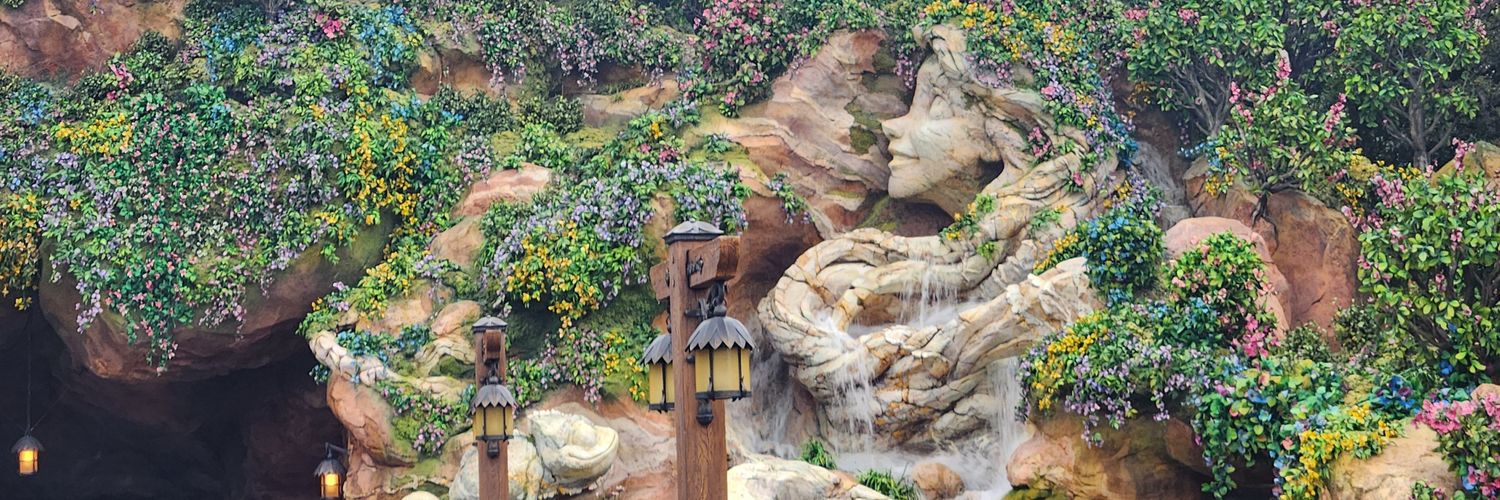 p0409py's profile banner image