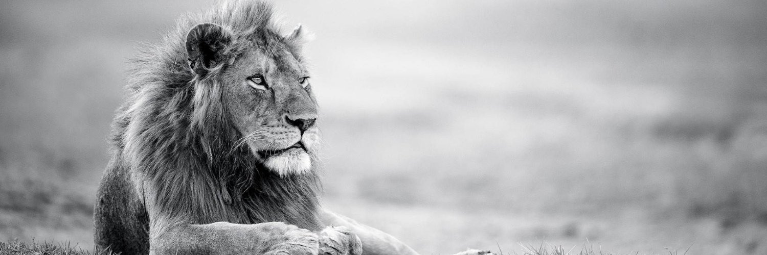 NathanBunga's profile banner image