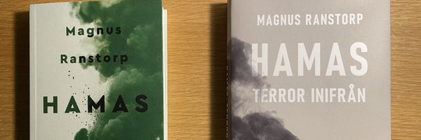 MagnusRanstorp Profile Banner