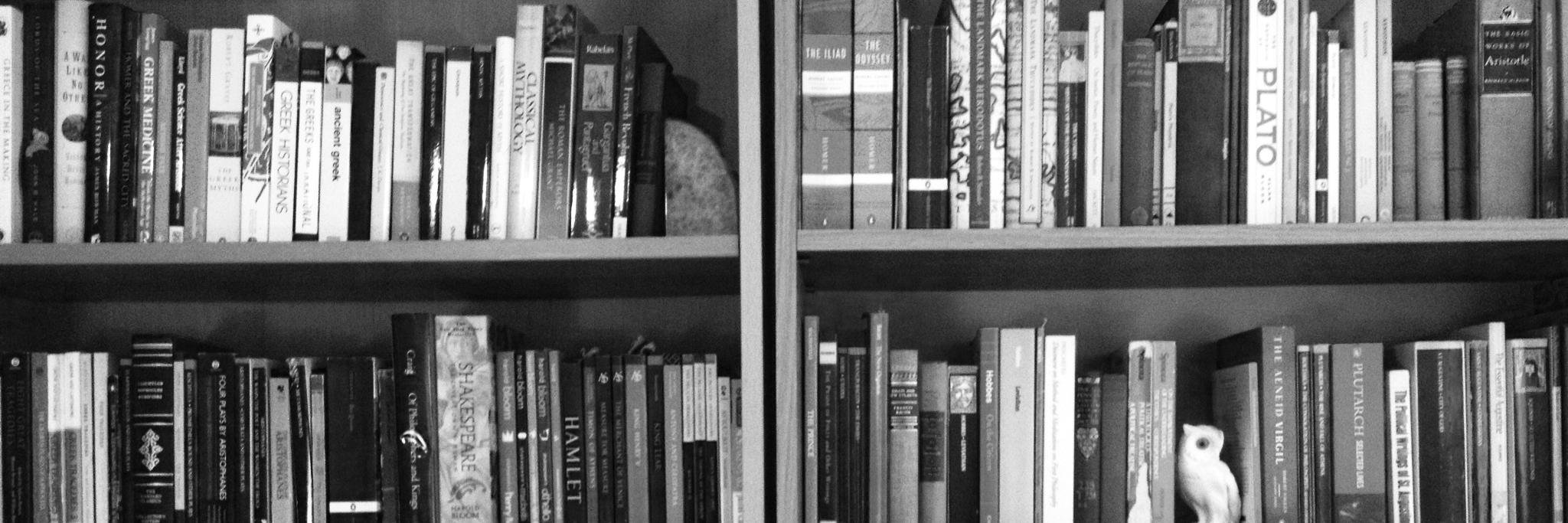 Janice Freamo banner