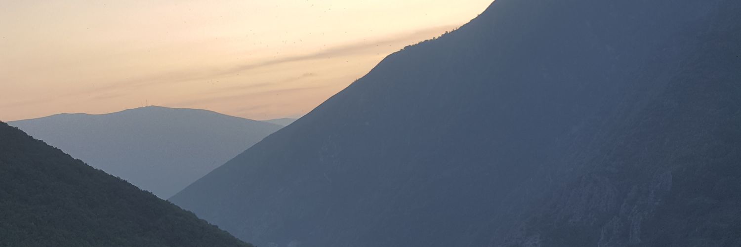 José Manuel González banner