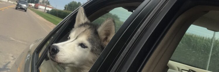 hoffnoe's profile banner image