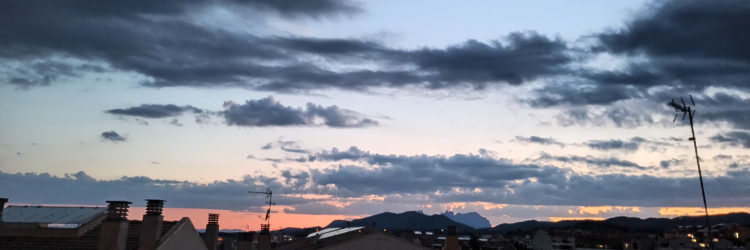 Mònica Serrano Boira banner