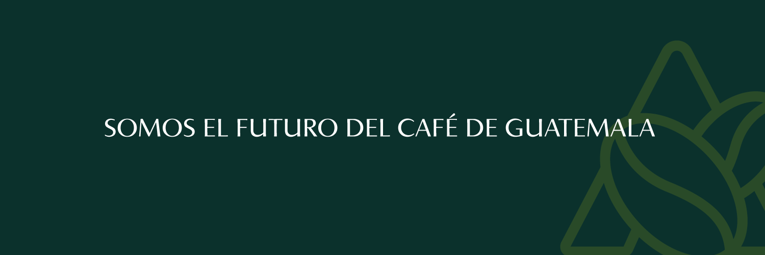 CafedeGuatemala's profile banner image
