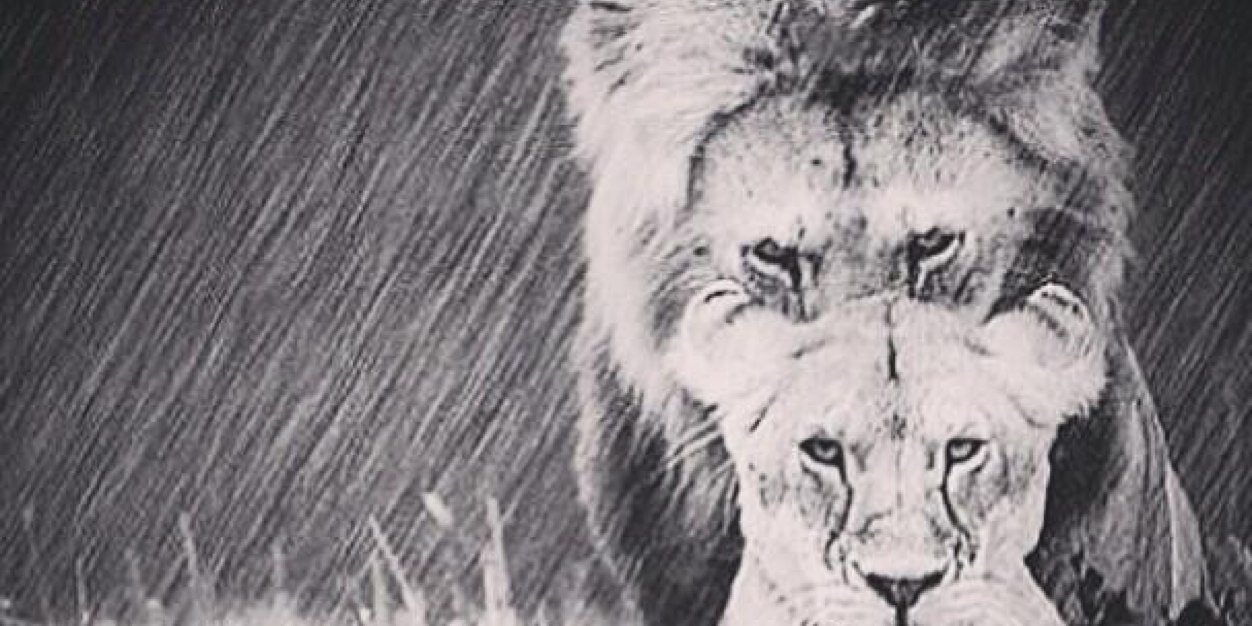 Mittatje's profile banner image