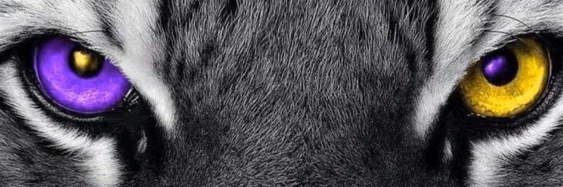 Kevin Garrigan banner