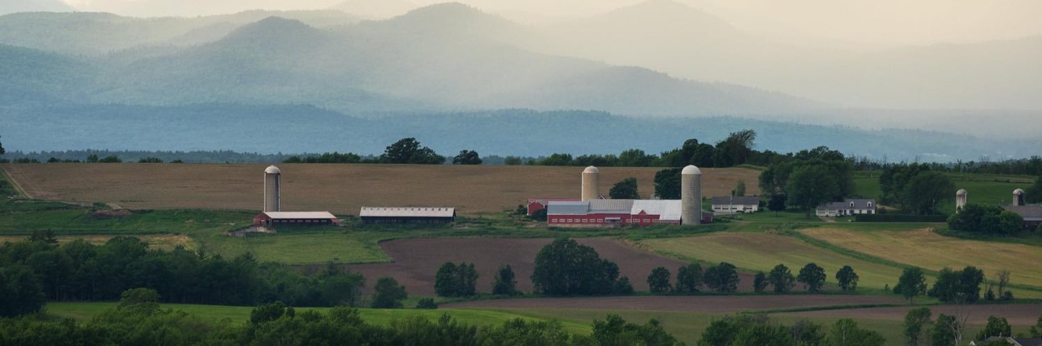 B Bigelow 💬 banner