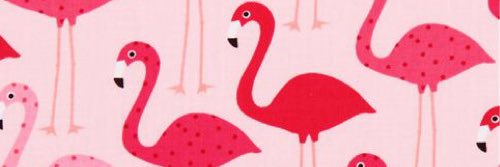 ARNicoco's profile banner image