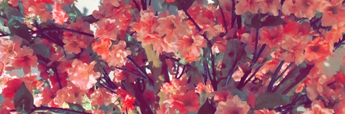 HannahWenty's profile banner image