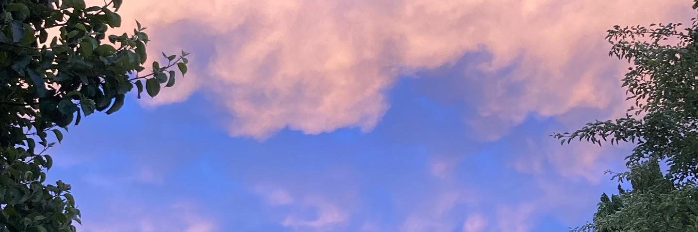 RooBear78's profile banner image