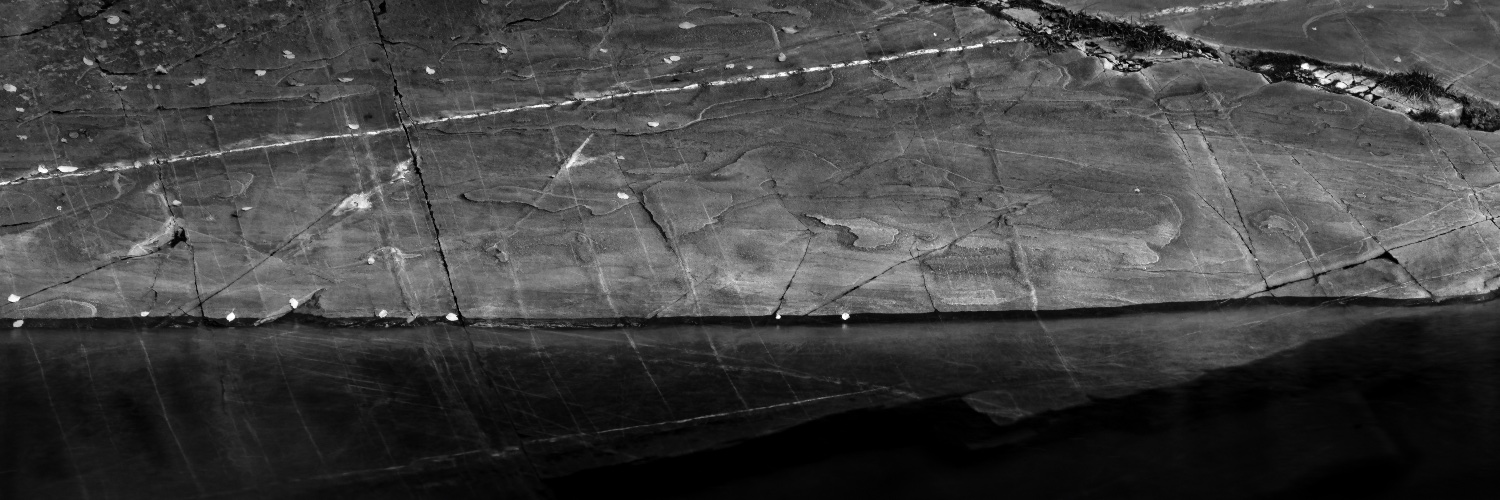 Dr David Mitchell banner