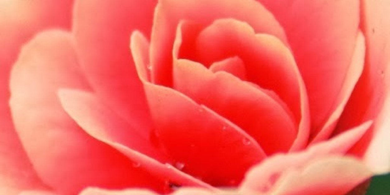 _sakoora4's profile banner image