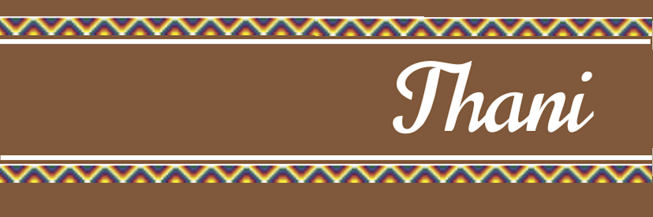 Thani_Alimentos's profile banner image