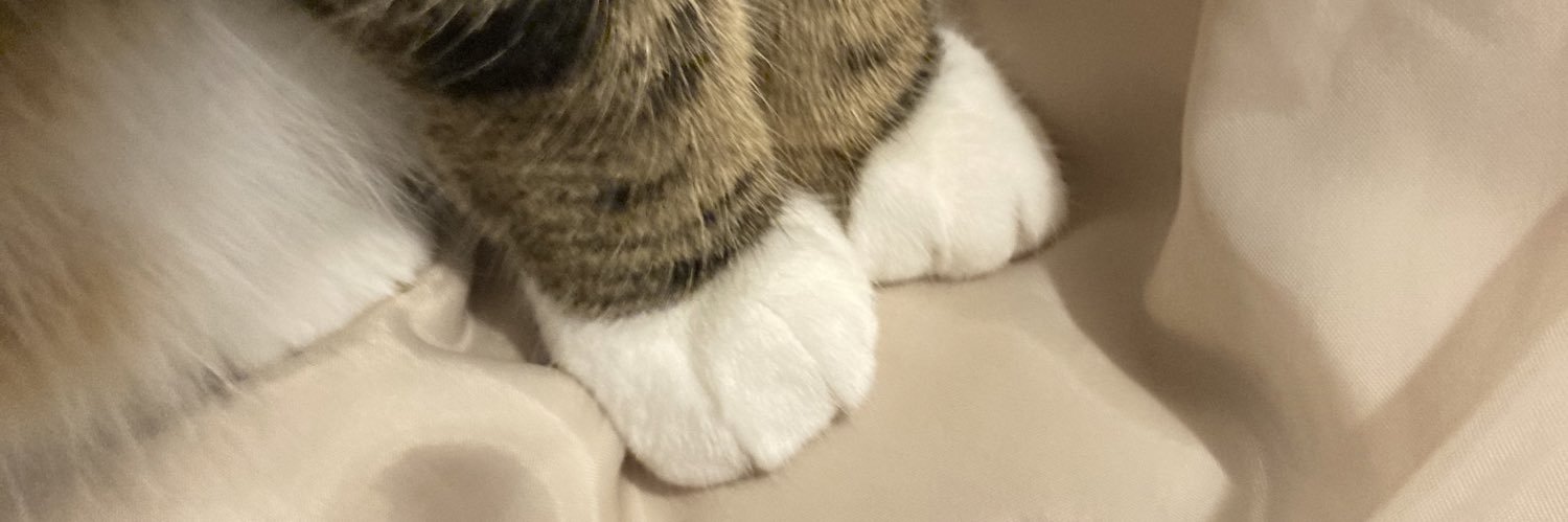 chrissibutton's profile banner image