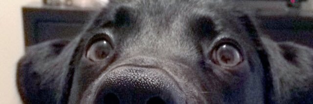 VictoriaSpitler's profile banner image
