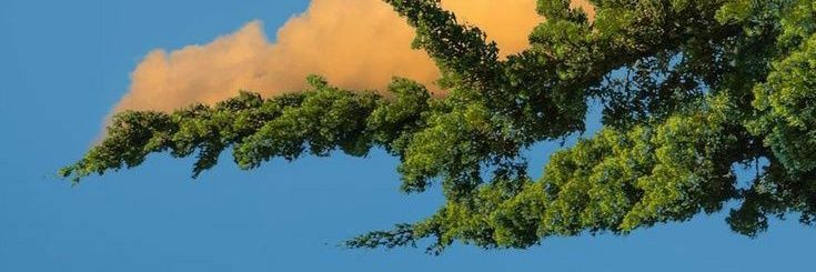 iamyasukee's profile banner image