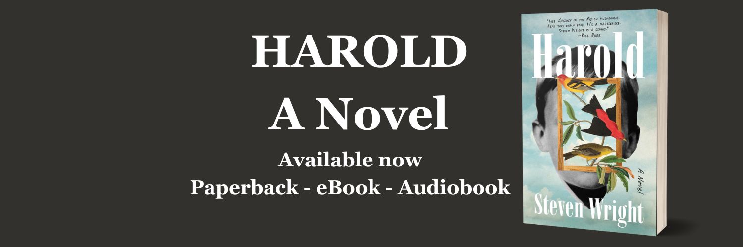 Steven Wright banner