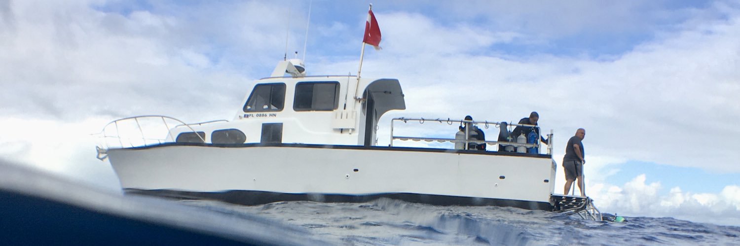 fl_sharkdiving's profile banner image