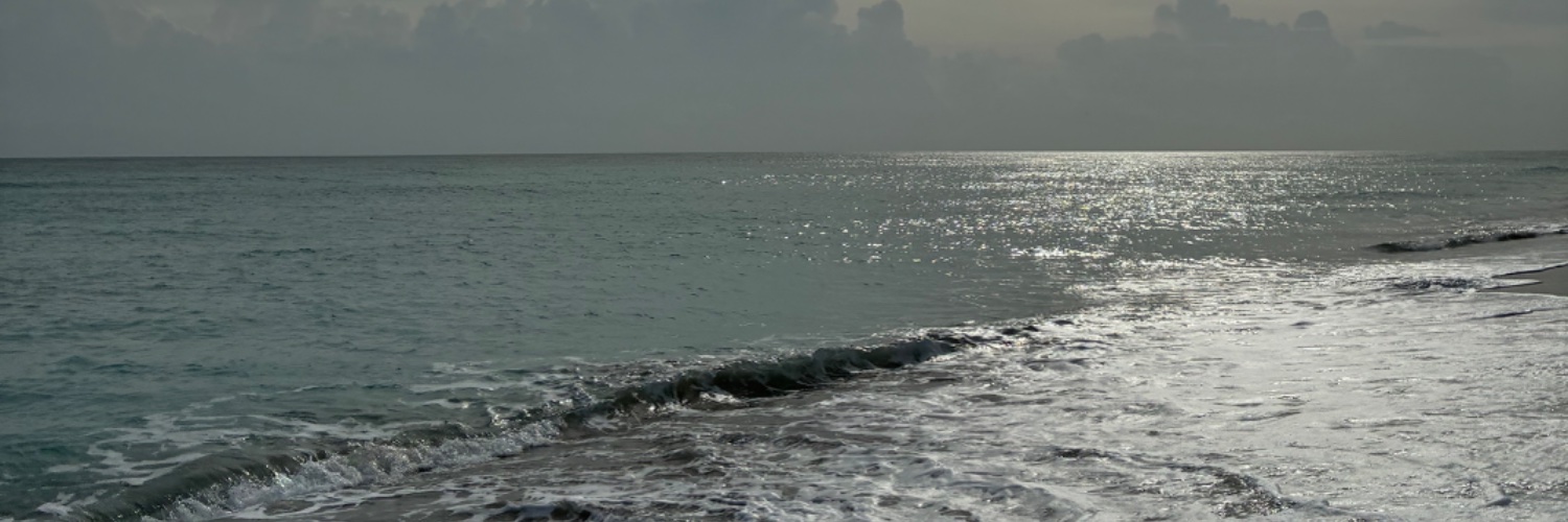 gieriet's profile banner image