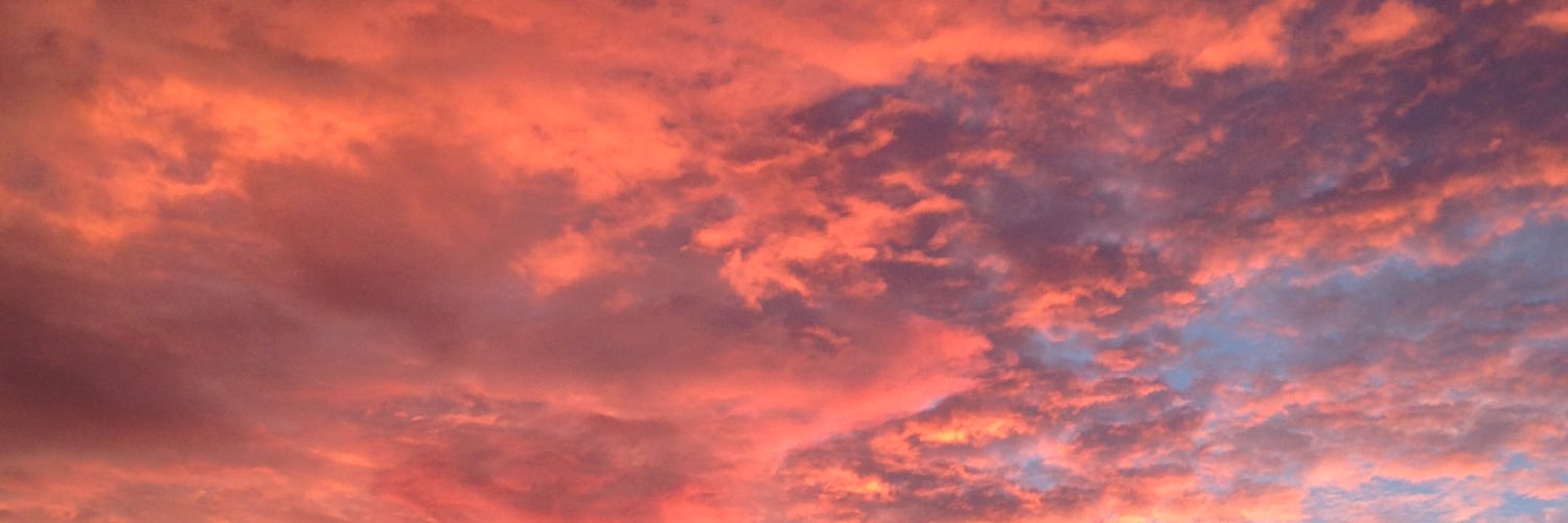 PaintedPits's profile banner image