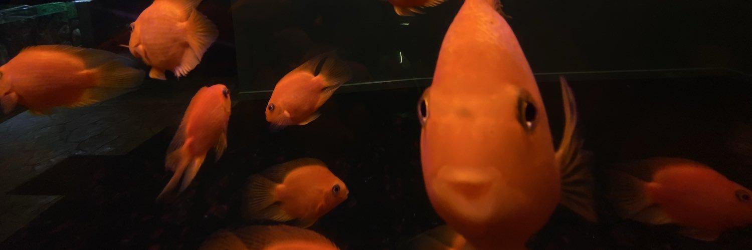 gianobre's profile banner image