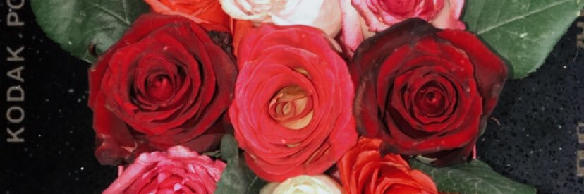 MelissaTamay's profile banner image