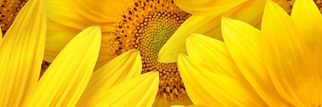 SuperEly_'s profile banner image