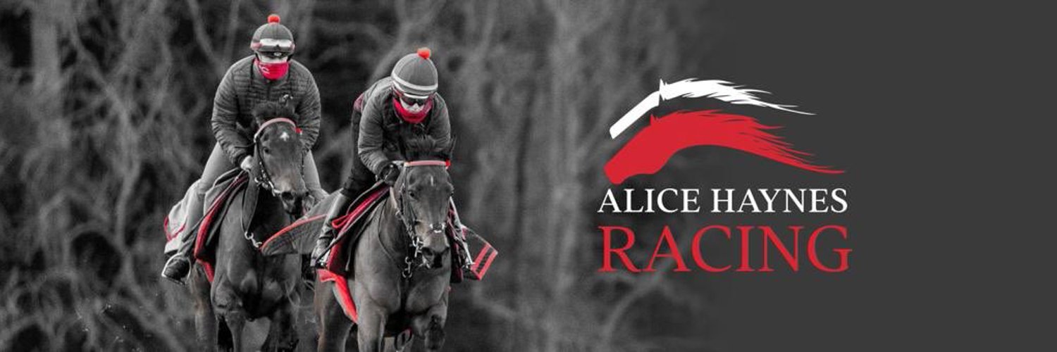 Alice Haynes Racing Profile Banner
