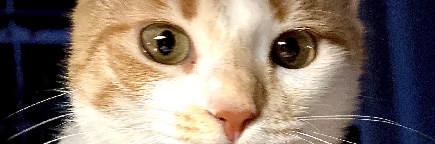 krio103's profile banner image