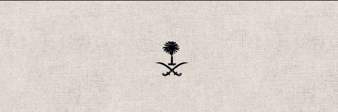 pliuil11's profile banner image