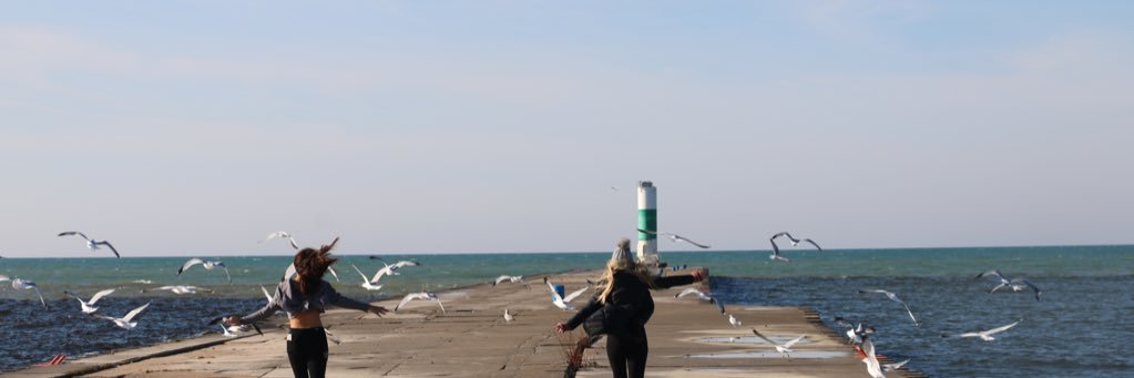 Angelica_pfeff's profile banner image