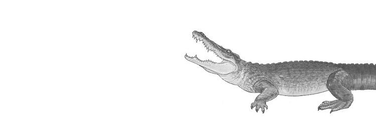 gai_crew's profile banner image