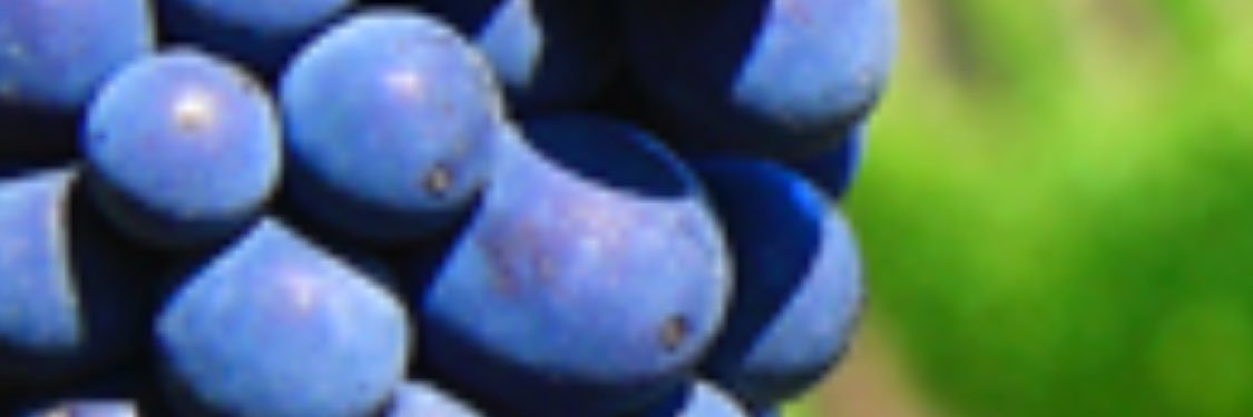 capitanmor's profile banner image