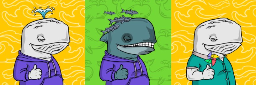 drufflfc's profile banner image