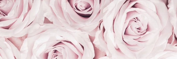 ThaBestOfC's profile banner image