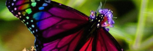 TomVAndrew's profile banner image